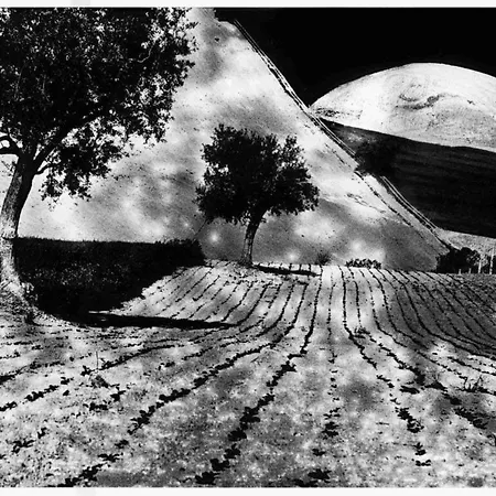 Appartamento Velvet *