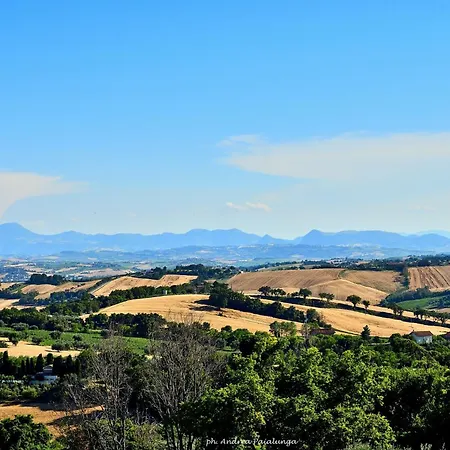 Velvet Appartamento *