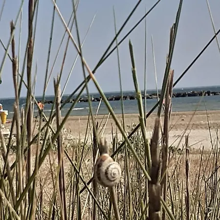 Apartman Velvet Senigallia