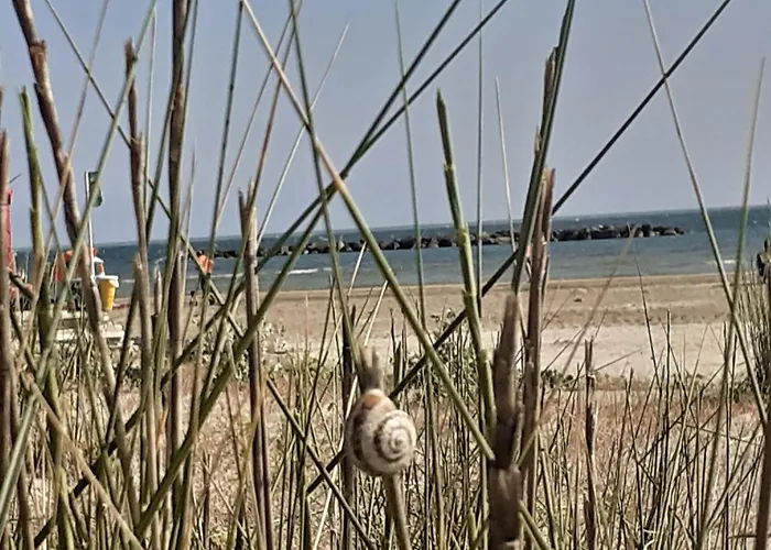 아파트 Velvet 세니갈리아